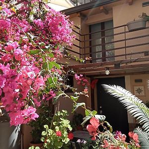 Mizzicahome Solemare Catania